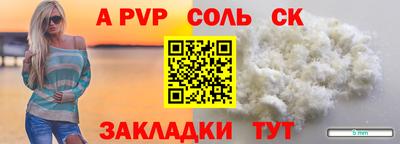 шишки Абакан