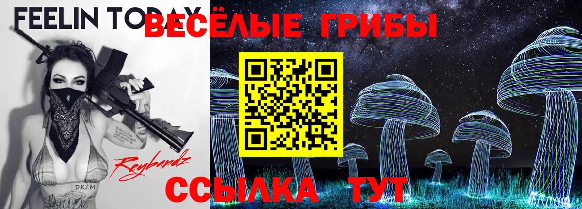 Псилоцибиновые грибы мухоморы  Вход с VPN  Алейск  Галлюциногенные грибы Psilocybe 